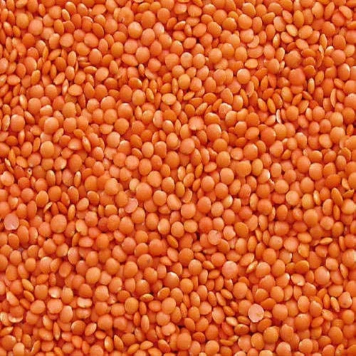 Indian Red Whole Organic Masoor Dal