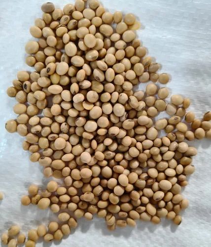 Organic Soybean Whole