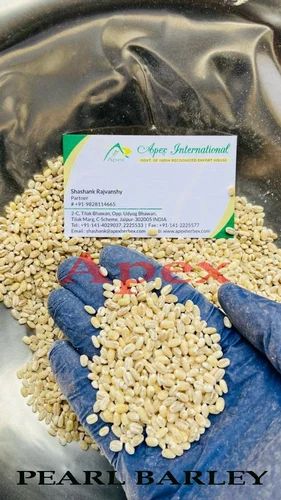 White Pearl Barley Seeds, High in Protein, 30 Kg