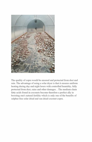 White SOLAR DRIED COPRA, For Edible,To Extract Oil, Packaging Type: Sacks