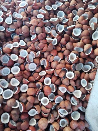Edible Dried Coconut Medium, For Food, Packaging Size: 25kg