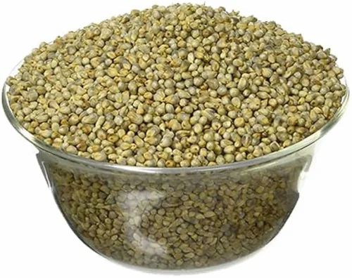 5 KG Green Millet Bajra, Gluten Free