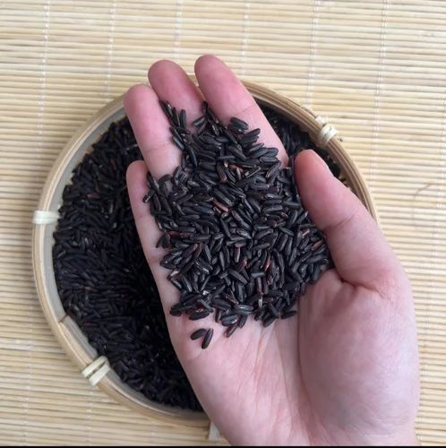 Organic Black Rice, Packaging Size: As Preferable