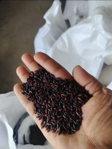 Boiled Black Rice