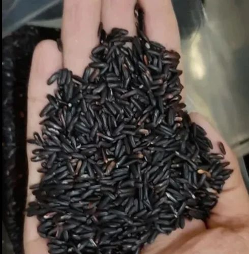 Karuppu Kavuni Black Rice