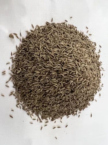 Brown Grade: Singapore Quality Cumin Seeds, Packaging Type: Gunny Bag