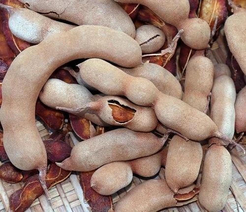 Raw Tamarind With Seeds, 1 kg