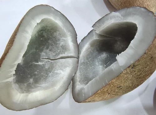 Half Cut Brown Coconut Dry, Packaging Size: 10 Kg, Packaging Type: Losse