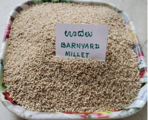 Barnyard Millet - Sanwa, Packaging Size: 25 Kg