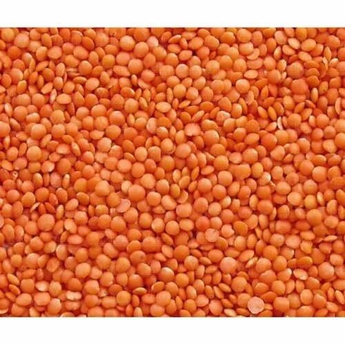 Split Masoor Dal / Red Lentil, Medium