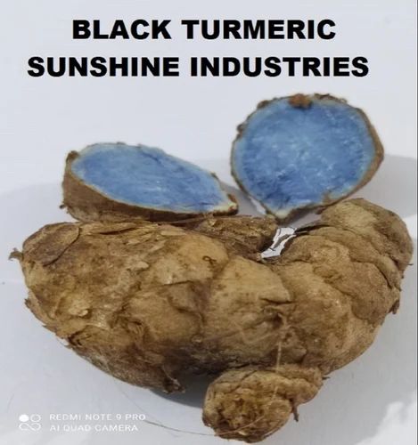 Kali Haldi Black Turmeric Seed, Finger