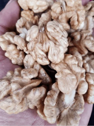 Whole 500gm Retaj Fresh Walnut Kernel