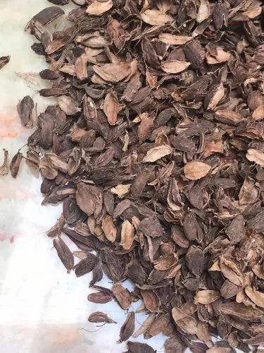 Large Cardamom Husk Chilka Badi Elaichi