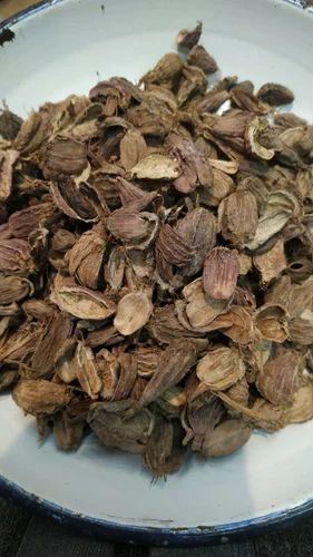 Black Cardamom Husk