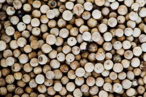 MI Spices Whole Organic White Pepper, Packaging Size: 10 kg