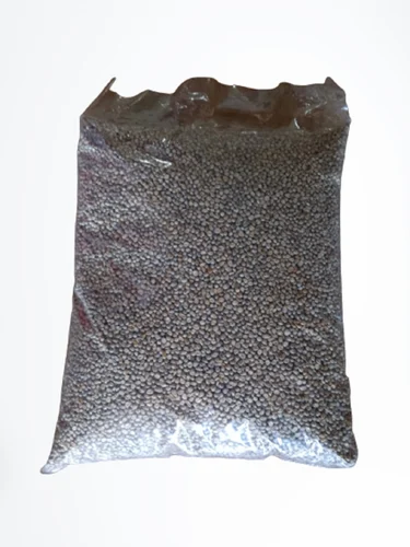 Indian Natural Kambu Pearl Millet, High in Protein, Packaging Size: 30 KG