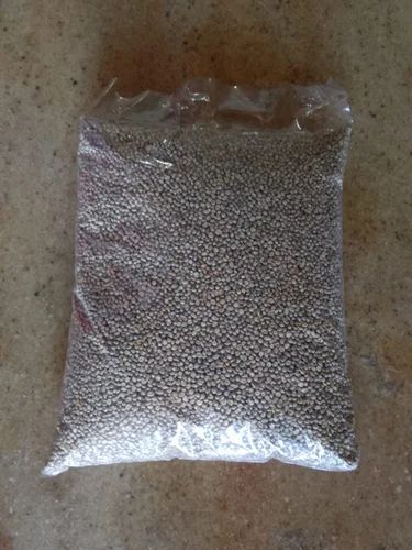 One Seed Kambu Pearl Millet, Organic