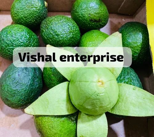 Fresh Avocado Fruit