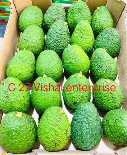 Hass Avocado Fruit
