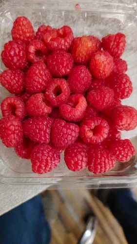 A Grade Fresh Raspberry, Packaging Type: Plastic Bag, Packaging Size: 125Gram-1 Box