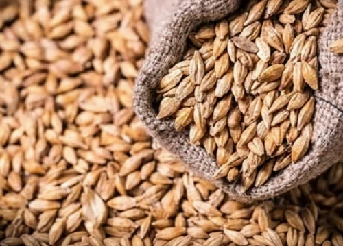 Caramel Barley Malt
