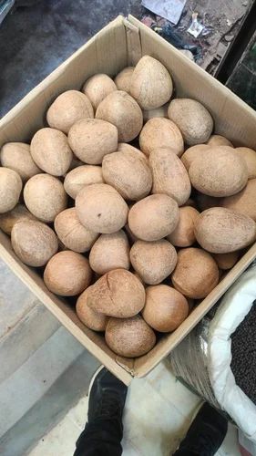 Half Cut Dry Coconut Copra