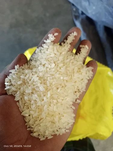 Swarna Parboiled Rice, Packaging Type: PP Bag, 50 kg