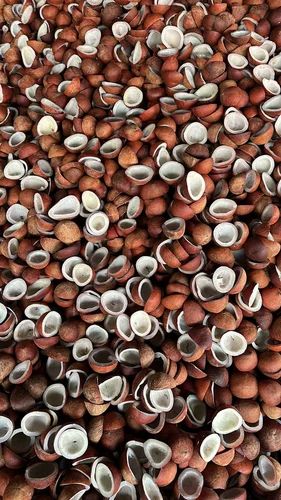 Brown Pieces Dry Coconut, Packaging Type: Vacuum Bag