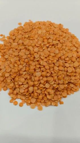 Indian Organic Masoor Dal, High in Protein, Packaging Size: 10 Kg