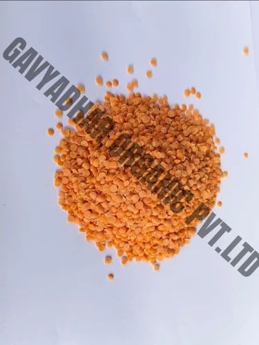 Organic Masoor Whole, Packaging Size: 25 Kg