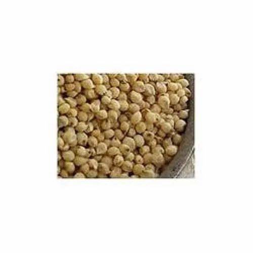 Yellow Organic Sorgum Broken, High in Protein
