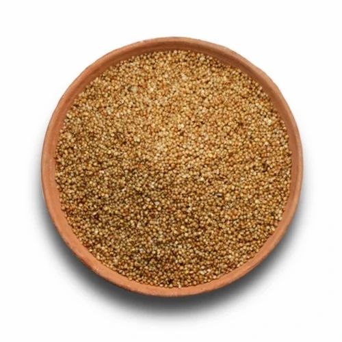 Unpolished Kodo Millet, Packaging Size: 500gm, Gluten Free