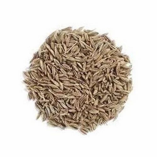 Organic Green Cumin Seeds