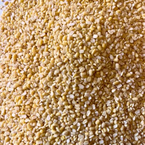 Moth Mogar Pulses