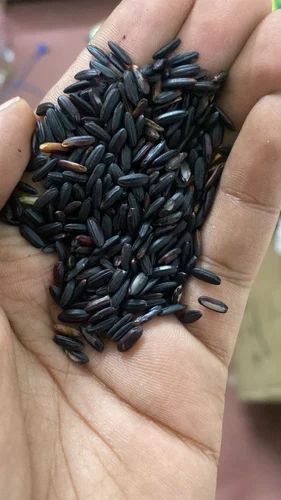 Black Rice Chakhao