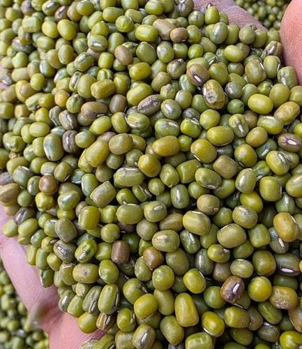 Organic Whole Moong Dal, Dried