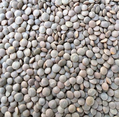 Organic Whole Brown Masoor Dal