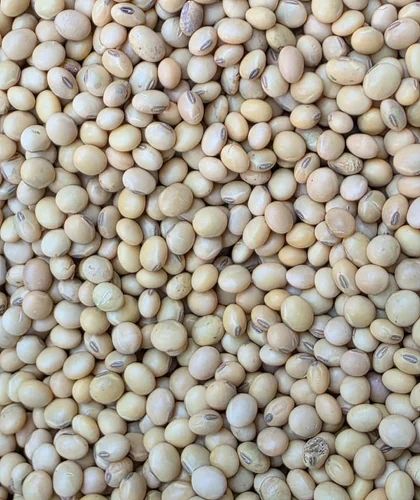Organic Whole Soyabean Dal