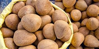 Coconut Copra