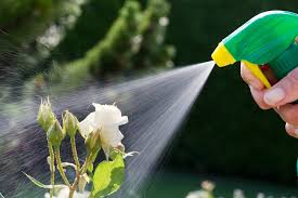 Organic Fungicide for Vegetables Fruits Flowers 