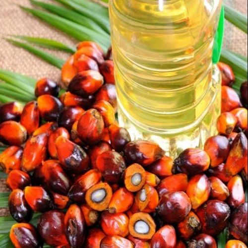 Rbd Palm Oil