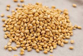 Fenugreek Seeds