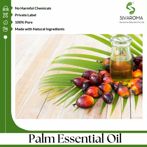 Palm Kernel Essential Oil