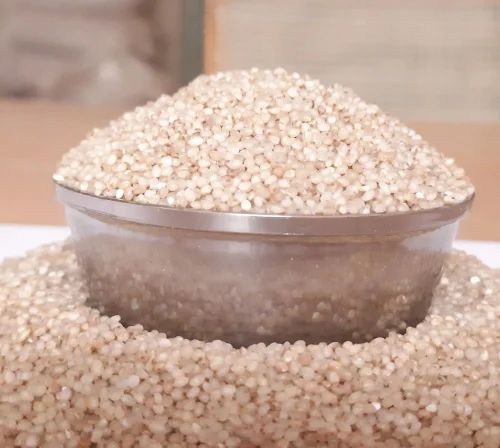 Polished Little Millet (Kutki, Samai, Chama, Samalu, Saame), Packaging Size: 50 Kg, Whole Grain