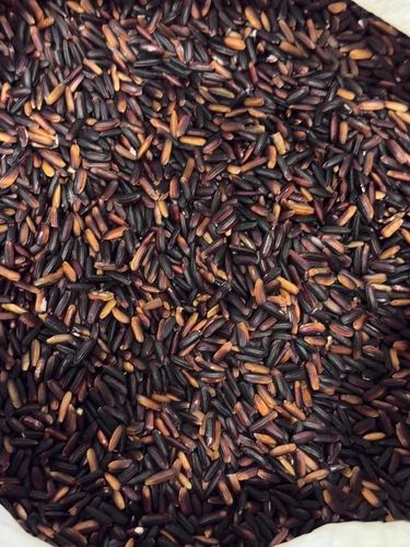 Organic Black Rice