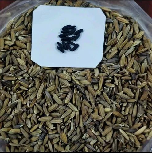 Black Rice Seed, PP Bag