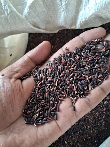 Black Rice