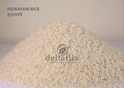 Deltafiia Indryani Tandool, Packaging Type: PP Bag, Packaging Size: 30 Kg