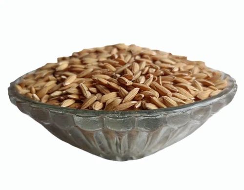 Boro Paddy Rice