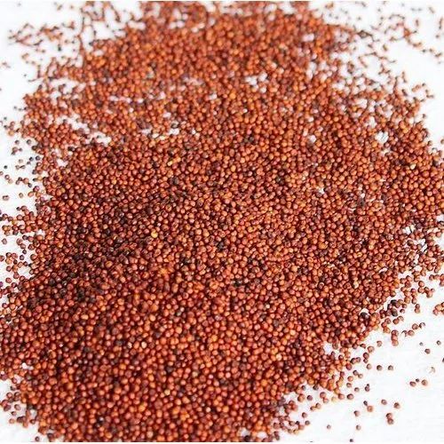 Conventional Finger Millet - Ragi, Processing Type: Machine Cleaned